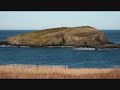 Elliston, Newfoundland