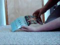 Ehlek Review