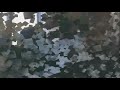Freestyle 2spee _ Moussa Freestyle 2spee _ Moussa