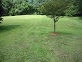 Fun with atv part 2