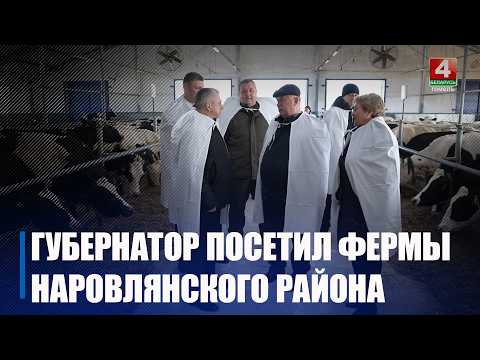 На 20% увеличилось производство молока в Мозырском районе по сравнению с 2025 годом видео