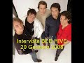 Intervista in esclusiva ai Beehive Intervista in esclusiva ai Beehive