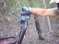 A day on the Farm