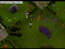 99 Skills Capes / My Favorite Place 99 Skills Capes / My Favorite Place