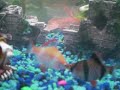 Tiger Barb Make Out Session Tiger Barb Make Out Session