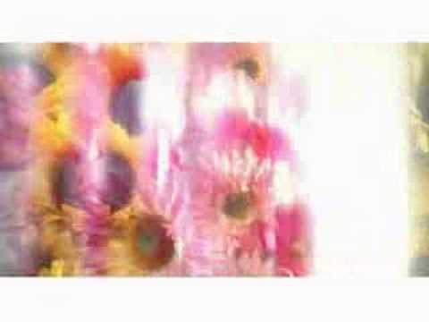 Koi No Hana- Natsumi Abe