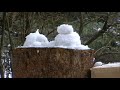 frosty the snowman