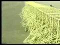 Theo Jansen: Kinetic Sculptures