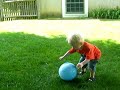 Sifter Turtle Ball
