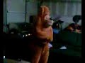Big Teddy Bear