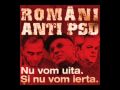 Romania merita mai mult ... NU VOTA MIRCEA GEOANA