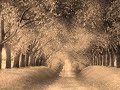 Eros e Psique - Texto de Fernando Pessoa