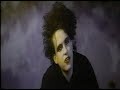 the cure