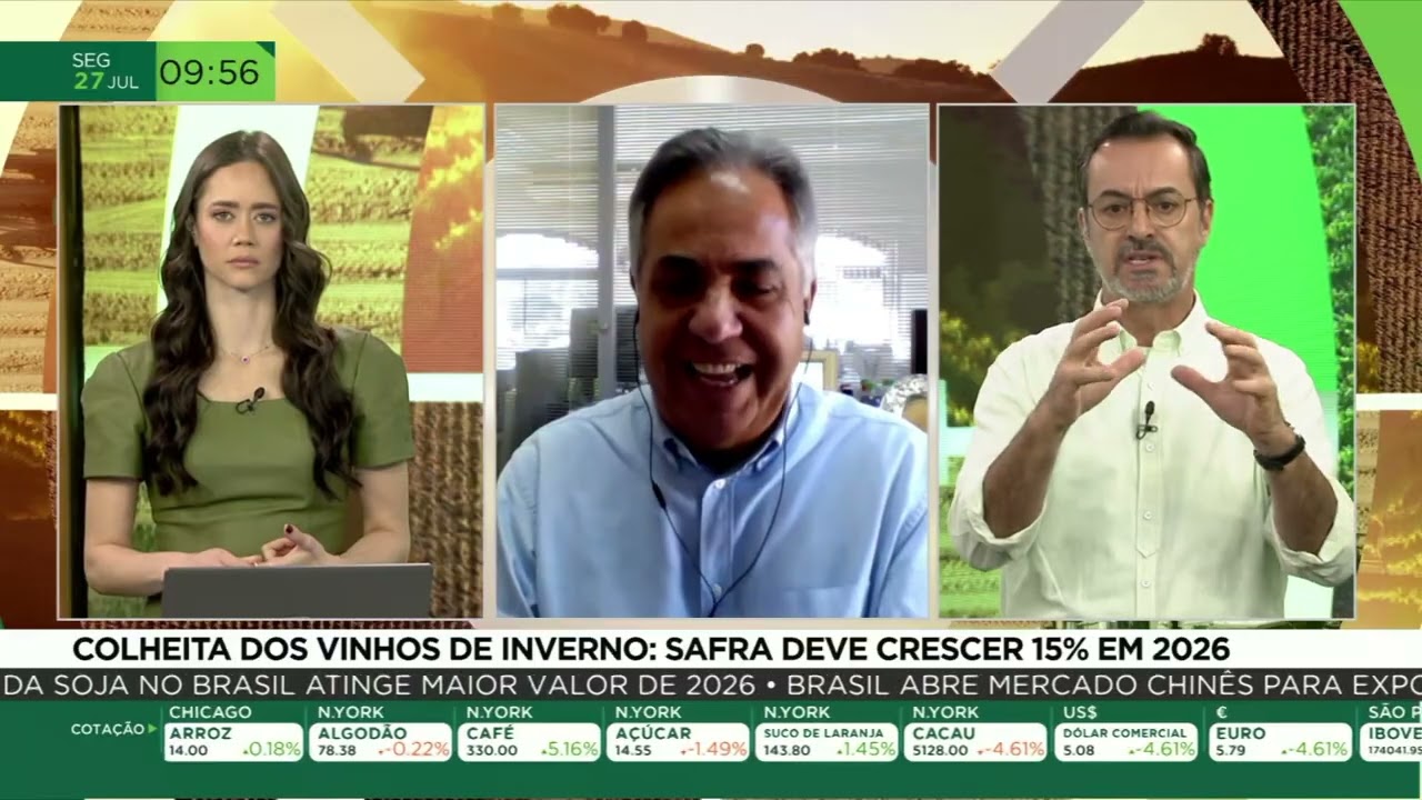 Safra de vinhos de inverno deve crescer 15% com técnica da dupla poda