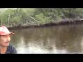 Pescando Sabalos
