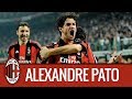 Pato