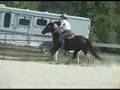videos de michelle's pony fast