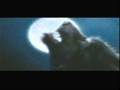 videos de werewolf