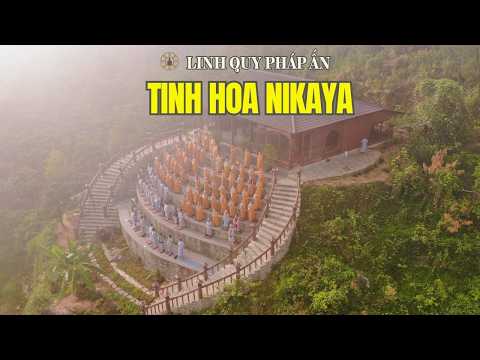 Tinh Hoa NIKAYA - Tại Sao Có Già Bệnh Chết? *