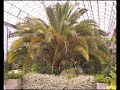 Winter Gardens in Aberdeen, Scotland