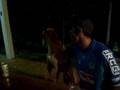 videos de Favile e chorão conversando