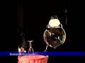 Soap Bubble Art & Tricks #1 Keith Michael Johnson