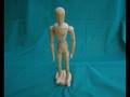 videos de Figure Doll