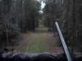 Stewart County Whitetails.wmv