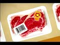 Cadena Agroindustrial Argentina