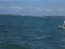 entrainement laser VBM du 13/09/08 : les videos voile