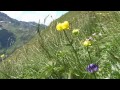 speedflying polster mit kopi