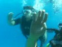 Ziya, Vini and Ptichka Diving