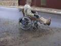 WheelChair With HONDA 4-Stroke 165cc