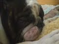 Noodles loves her baby