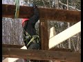 Timber Framing Barn Raising by Preservation Timber Timber Framing Barn Raising by Preservation Timber