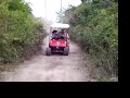 belize golf cart ride