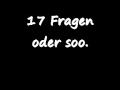 17 Fragen [youtube TAG]