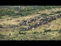 Manzaralar 002 (Barbaros'a doğudan sabah bakışı)