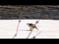 ���ޥ���������:YouTube������=4��