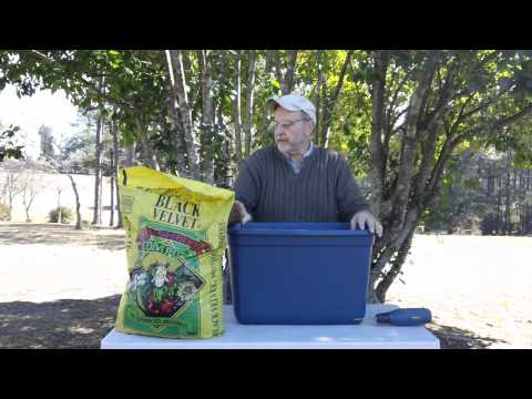 how to grow potatoes in a pot