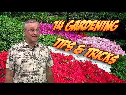 Garden tips - In this video you'll find 14 useful tips to make growing vegetables and gardening easier. From how to keep dirt out of your fingernails while gardening, to w...