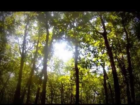 Allaire State Park NJ Mountain Biking 6.15 - RTM Posse