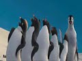 gangsta pinguine