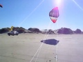 kitebuggy HS kites