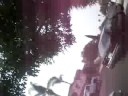 Crazy and Extreme Knock-outs