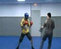 Entraînement des Renards