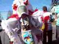New Orleans Mardi Gras Indians ~ Who's the Prettiest?