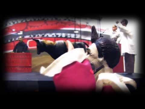 Imagen de previsualización de YouTube