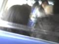 videos de VIAJE A HUANCAYO 2008 USM PART2