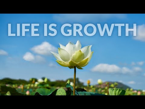 Nada Video: Life is Growth